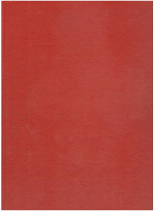 Chisinau si chisinaunenii