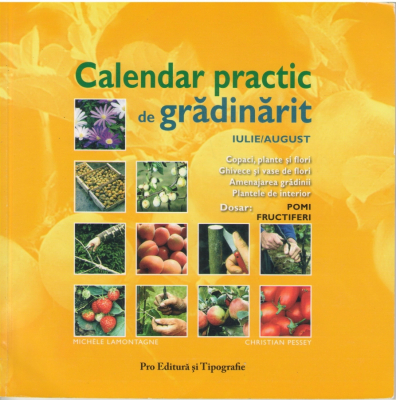 Calendar practic de gradinarit  Iulie-August