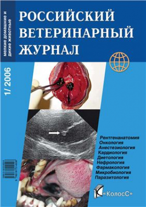 Российский ветеринарный журнал: мелкие домашние и дикие животные