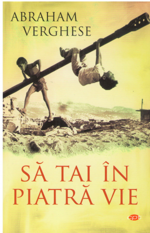 Sa tai in piatra vie