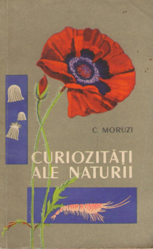 curiozitati ale naturii
