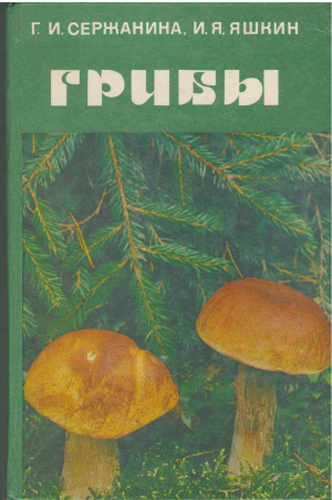 грибы (a/n1)