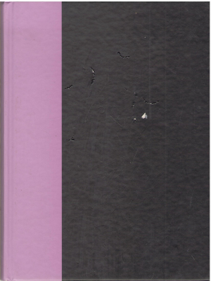 Fieful (Septimus Heap, cartea a 6-a)