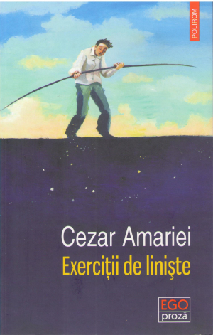 exercitii de liniste povestiri