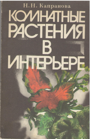 комнатные растения в интерьере