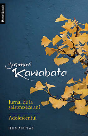 Jurnal de la saisprezece ani. Adolescentul