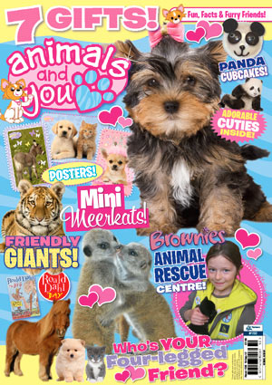 Animal & You