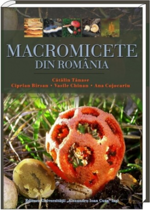 Macromicete din România