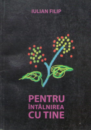 pentru intalnirea cu tine
