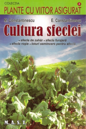 Cultura sfeclei - sfecla de zahar, sfecla furajera, sfecla rosie, loturi semincere pentru sfecla