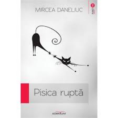 Pisica ruptă