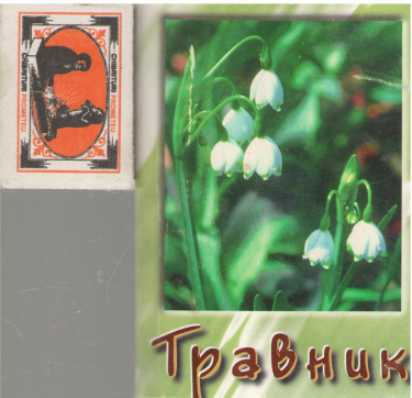травник