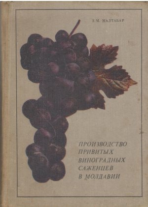 производство привитых виноградных саженцев в молдавии