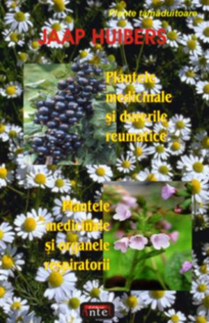 Plantele medicinale si durerile reumatice • Plantele medicinale si organele respiratorii