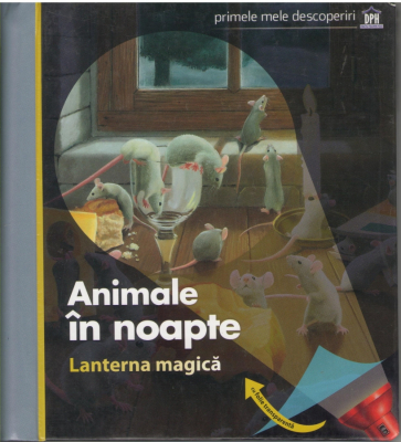 Animale in noapte  Lanterna magica