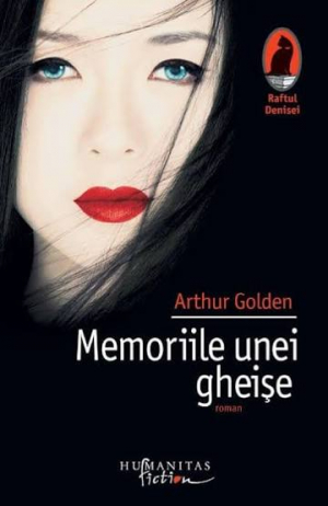 MEMORIILE UNEI GHEISE