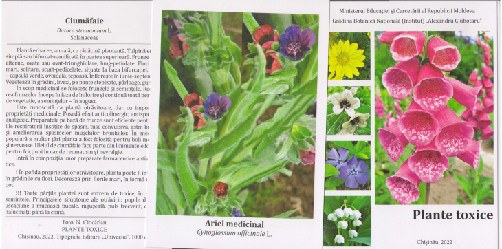plante toxice 10 carti postale