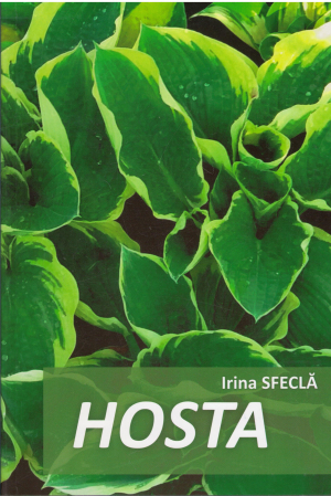 Hosta