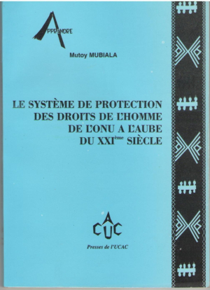 Le systeme de protection des droits de l'homme de l'ONU a l'aube du XXIeme siecle