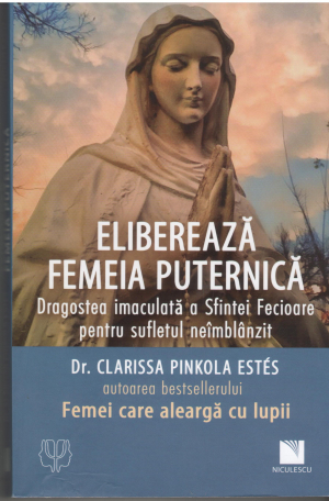 elibereaza femeia puternica dragostea imaculata a sfintei fecioare pentru sufletul neimblanzit