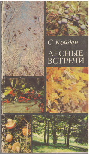 лесные встречи