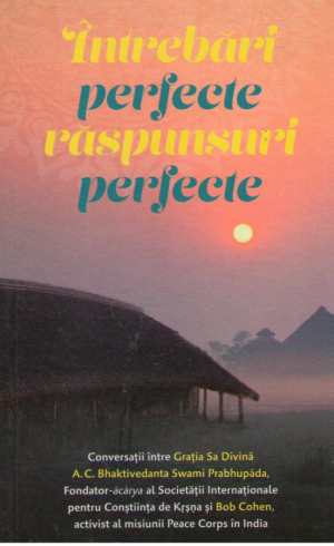 intrebari perfecte raspunsuri perfecte