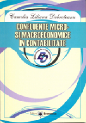 Confluente micro si macroeconomice in contabilitate