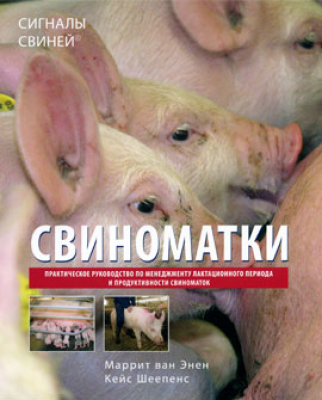 Свиноматки