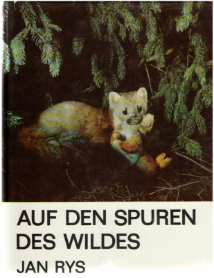 Auf den Spuren des Wildes