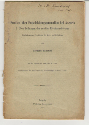 Studien uber Entwicklungsanomalien bei Ascaris von Gerhard Kautzsch