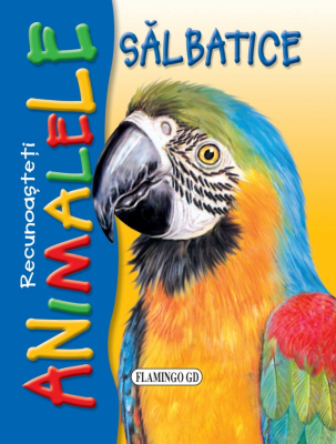 Recunoasteti animalele salbatice - Papagal