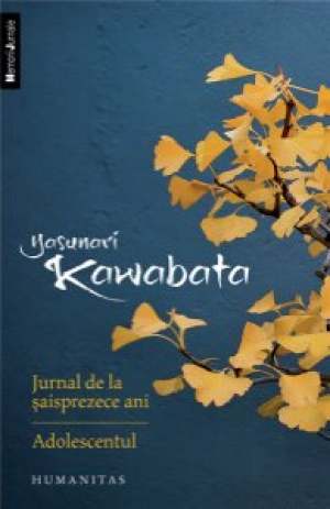 Jurnal de la saisprezece ani  Adolescentul
