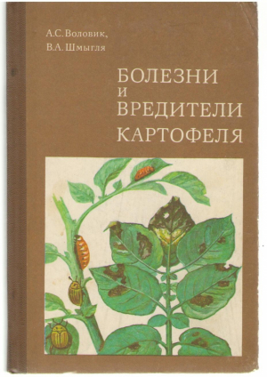 Болезни и вредители картофеля