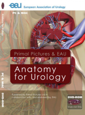 Anatomy for Urology 2nd Edition DVD-ROM