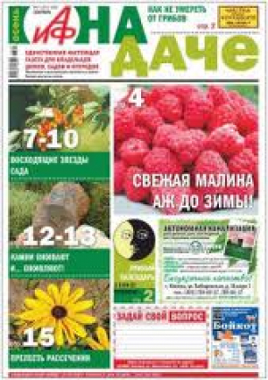 Аргументы и Факты. На даче