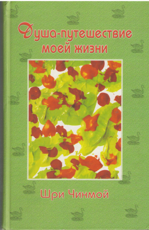 Душа - Путешествие моей жизни