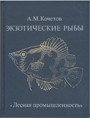 экзотические рыбы