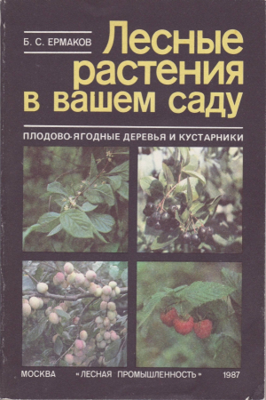 Лесные растения в вашем саду