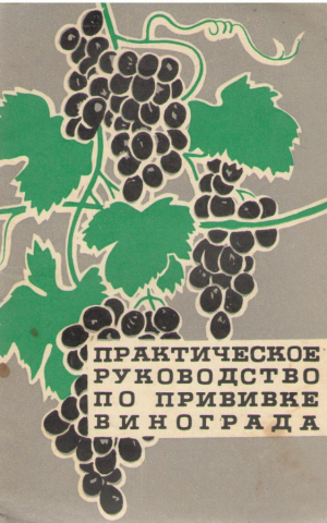 Практическое руководство по прививке винограда