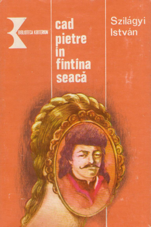 cad pietre in fintina seaca roman