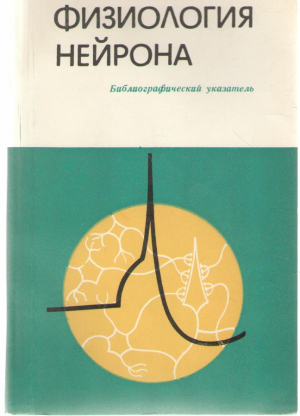 Физиология нейрона