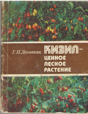 кизил - ценное лесное растение (a/n2)