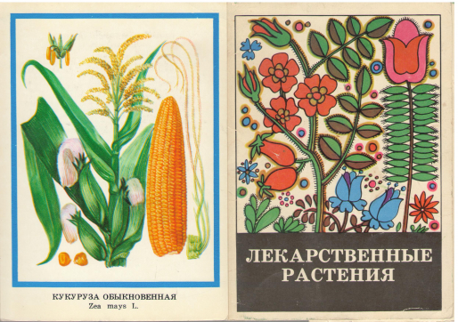 Лекарственные растения Комплект из 25 листовок