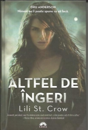 Altfel de ingeri Vol I