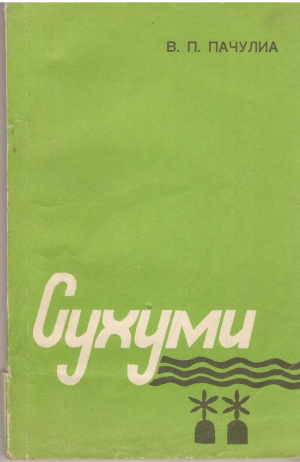 сухуми историко-культурный очерк