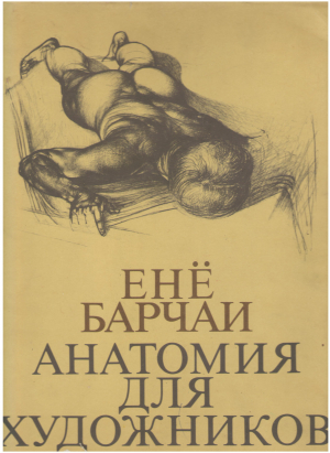 анатомия для художников