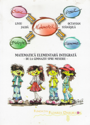 matematica elementara integrata de la gimnaziu spre meserie cu exemple de fizica, chimie, informatica si economie