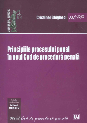 Principiile procesului penal in noul Cod de procedura penala
