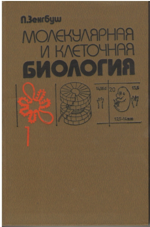 Молекулярная и клеточная биология Том I Molekular - und Zellbiologie