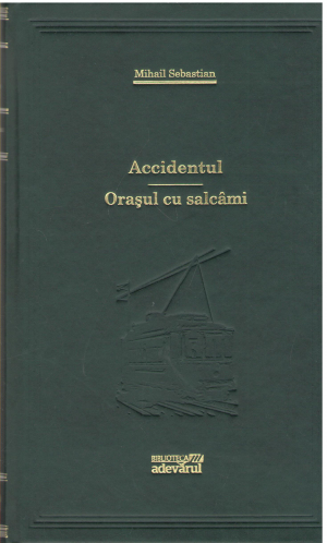 accidentul    orasul cu salcami
